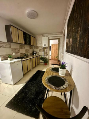 Apartament Vintage